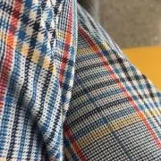 ダソシャリの画像