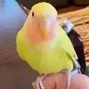 (*^^*)↓必読※発送遅れる可能性あり
