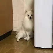 テニスゼツ