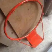 鳶鷹
