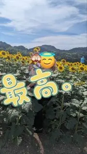 あおき(おまけたくさん!まとめ買い希望)の画像