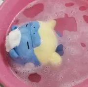 yちゃんの画像