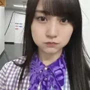 シマエナガの画像