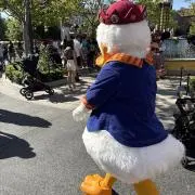Riの画像