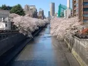 ゆっこの画像