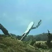 中山ゴンザレスの画像