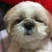 まさ