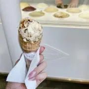 トラベラーの画像