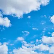 D.の画像