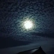Yatoの画像