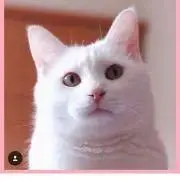 ゆうこりん☆プロフ必読☆SALE中