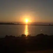 ショウ