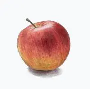 りんごの画像