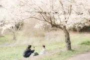 メルカーリー