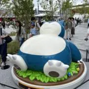 あらの画像