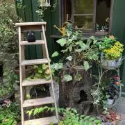 ひろの画像