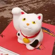 Naoの画像
