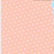 PAーの画像