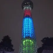 さくらの画像