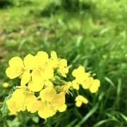a.kitchenの画像