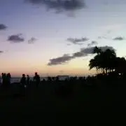 とまとん.+*:゜+。.☆の画像