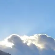 Tの画像
