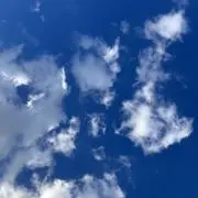 拳