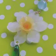のんの画像