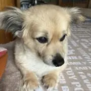 ありがとうございます。の画像