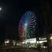 t　プロフィール見てくださいの画像