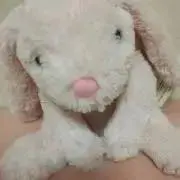ぬくぬくの画像