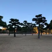 ゆたろうの画像