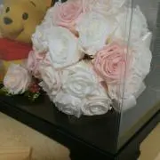 みーの画像