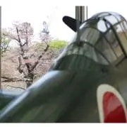 さくら❁⃘*.゜断捨離中　プロフ必読の画像