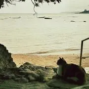 kaz0726の画像