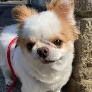 まめみんの画像