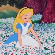 さささの画像