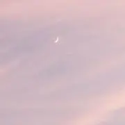ちゅぬの画像