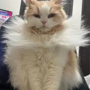 けと