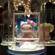 さね君の画像