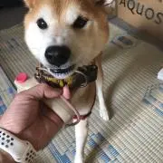 mykyの画像