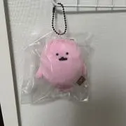 ぷー太郎の画像