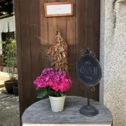 bklynの画像