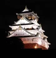 ノアの画像