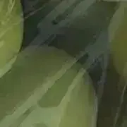 ロッキーの画像