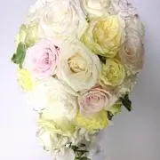 みんの画像