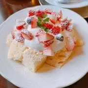 ちょこの画像