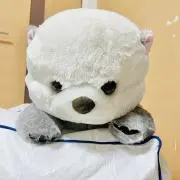 ちゅんきち♪商品説明必ず読んでください♪の画像