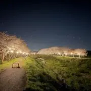 ひぽくんの画像