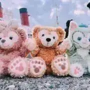koyomiの画像